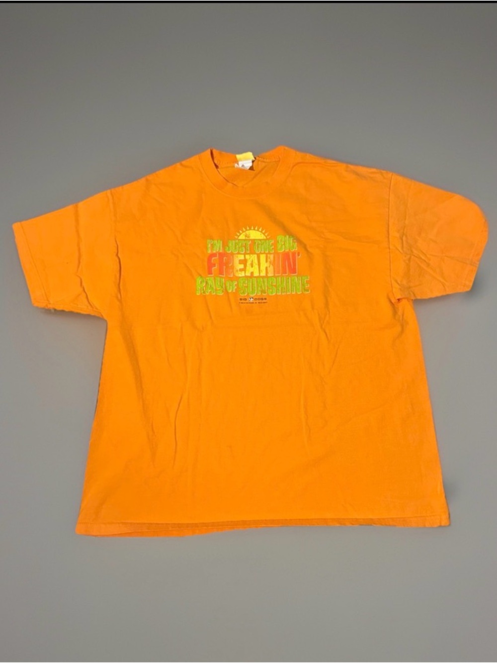 Bright Orange Big Dogs Graphic Tee with Sunshine Slogan Sz XL